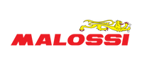 Shop Malossi